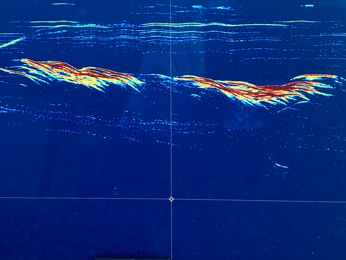 How to Read Your Color SounderDigital Download Pacific Edge Tackle