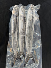 Load image into Gallery viewer, Frozen Flying Fish