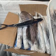 Frozen Flying Fish
